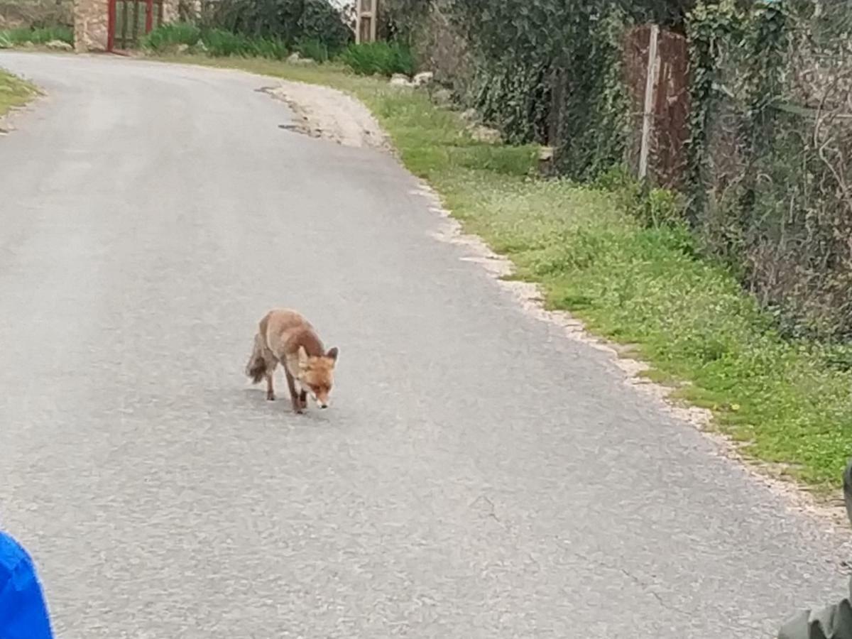 Casa Rural Arroyofrio Riopar Dış mekan fotoğraf