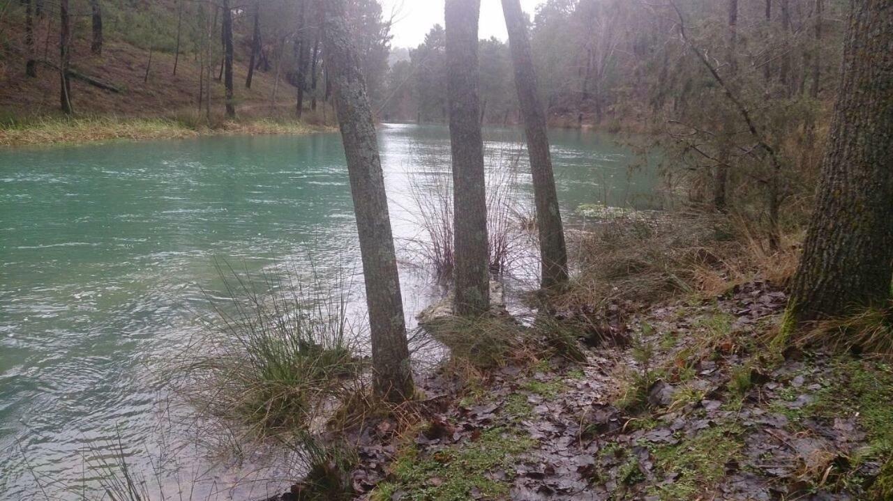 Casa Rural Arroyofrio Riopar Dış mekan fotoğraf